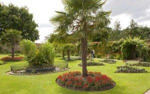 Planting trees in the garden suitable for feng shui