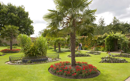 Planting trees in the garden suitable for feng shui